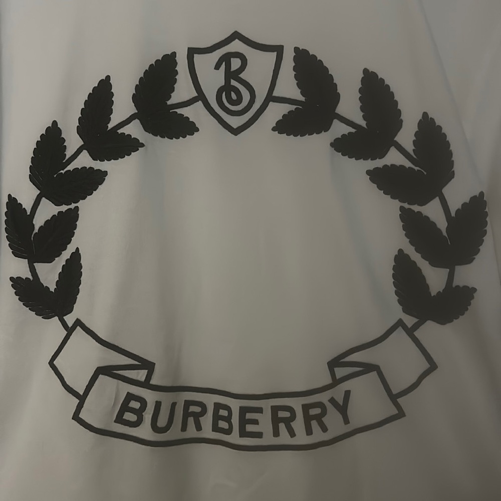 Burberry Shirt